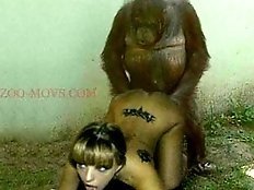 Unique animal sex movies