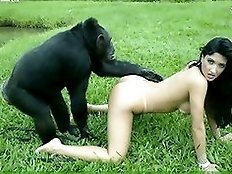 Pretty teen girl fucks by chimp