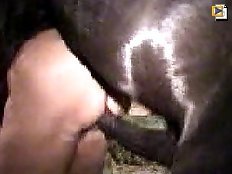 Babe fucks with animals in all holes