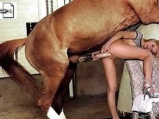 Big horse fucks perfect girl