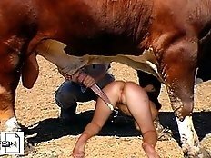 Farm sex movies