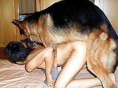 Girl fucked by dog