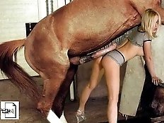 Teen babe gets horse fuck